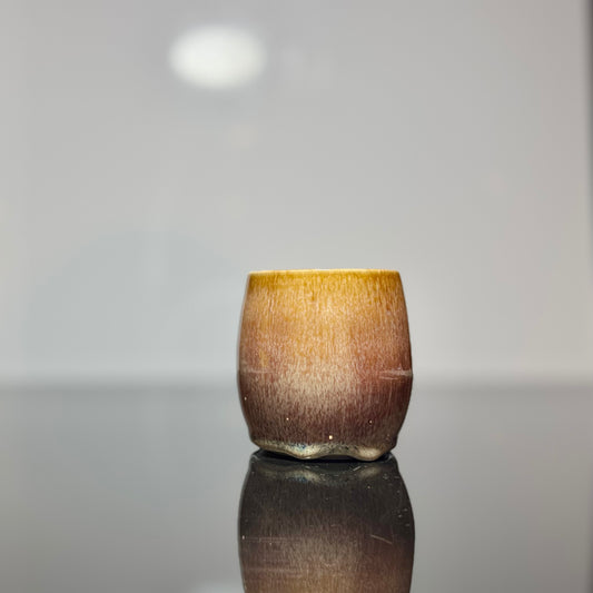63P - 10 oz TUMBLER